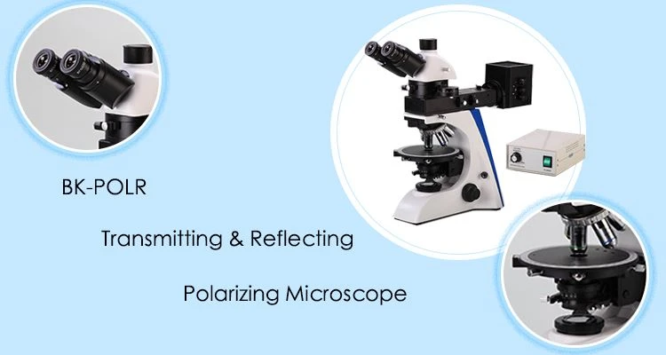 BK-POLR Polarizing Microscope with Digital Camera for sale
