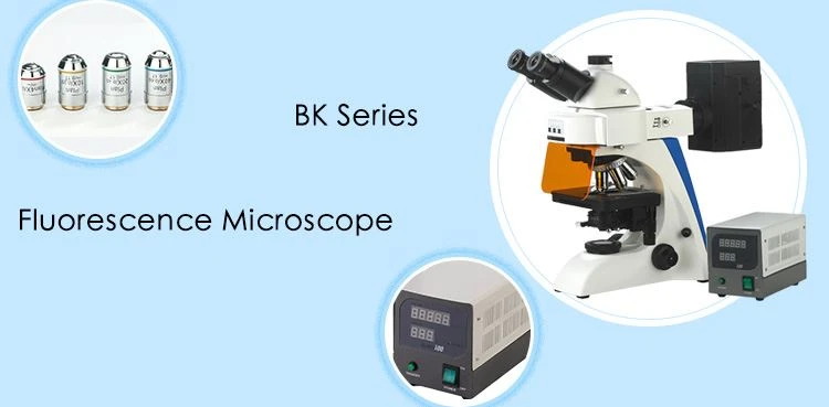 High power flluorescence microscope for sale
