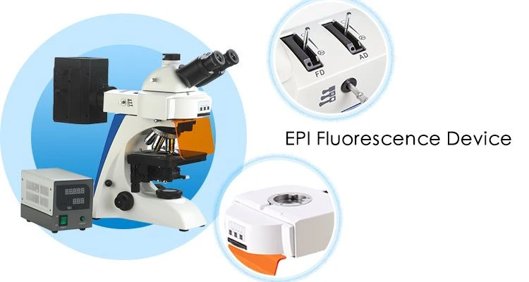 High power flluorescence microscope factory