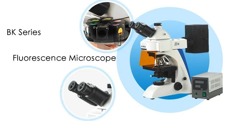 High power flluorescence microscope supplier